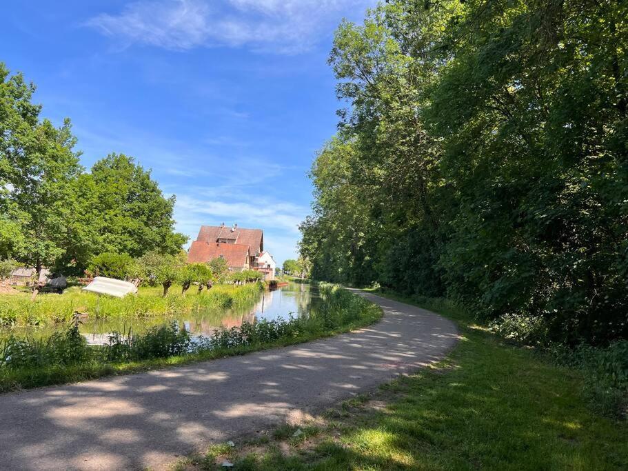 Le Jardin Paisible-Proche Centre Lejlighed Obernai Eksteriør billede